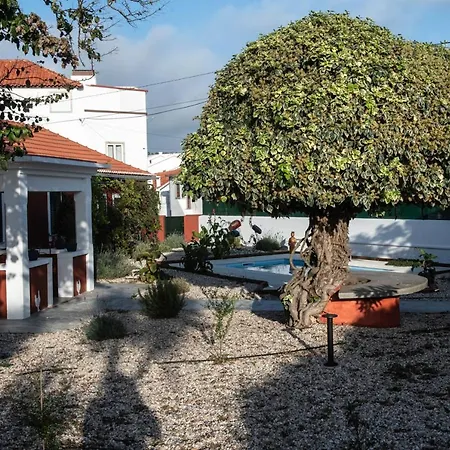 Casa Flamingo ゲストハウス 4*