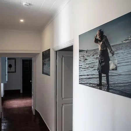Casa Flamingo 4*