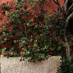 Casa Flamingo Guest house Foz do Arelho