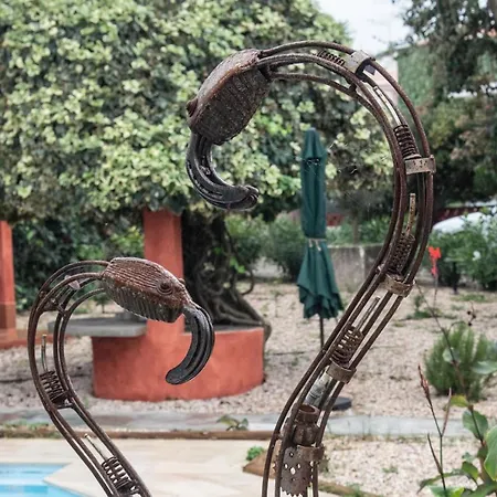 Gæstehus Casa Flamingo