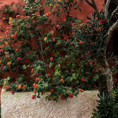 Casa Flamingo Gæstehus Foz do Arelho