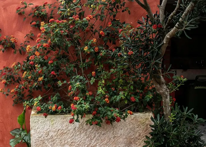 Casa Flamingo 게스트하우스 포즈도아렐로